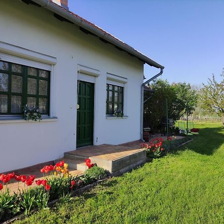 Szolohegyi Haziko - Cottage In The Vineyard Balatonszárszó المظهر الخارجي الصورة