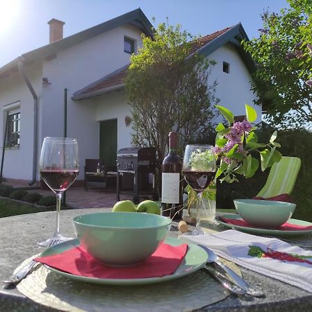 Szolohegyi Haziko - Cottage In The Vineyard Balatonszárszó المظهر الخارجي الصورة
