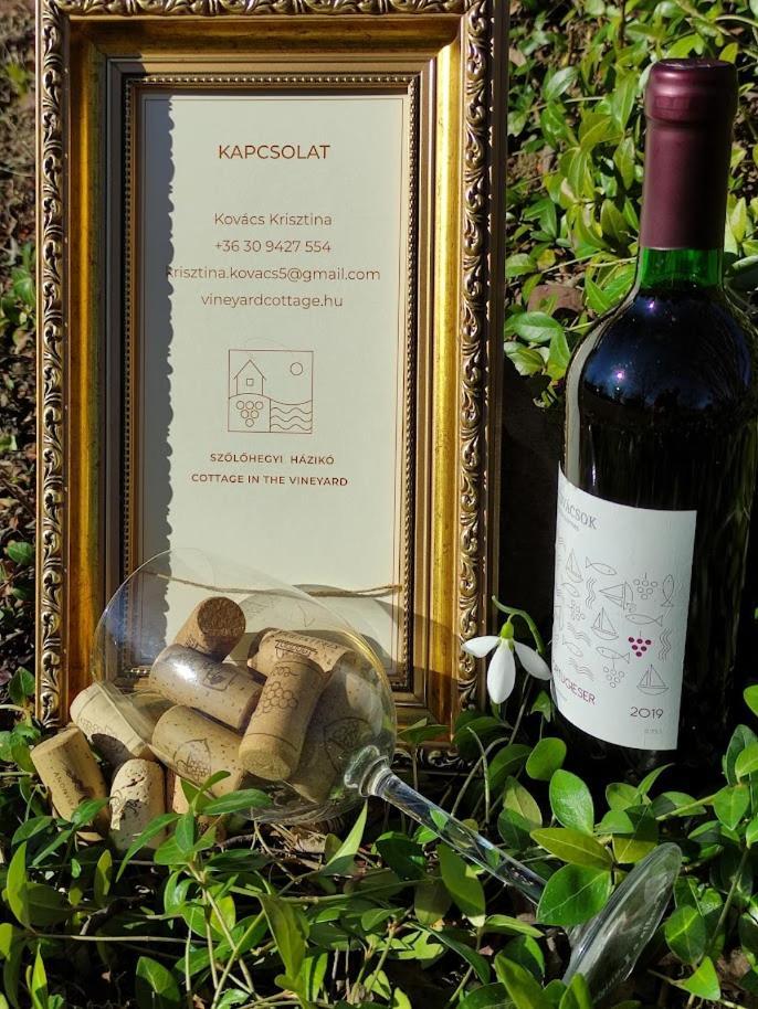 Szolohegyi Haziko - Cottage In The Vineyard Balatonszárszó المظهر الخارجي الصورة