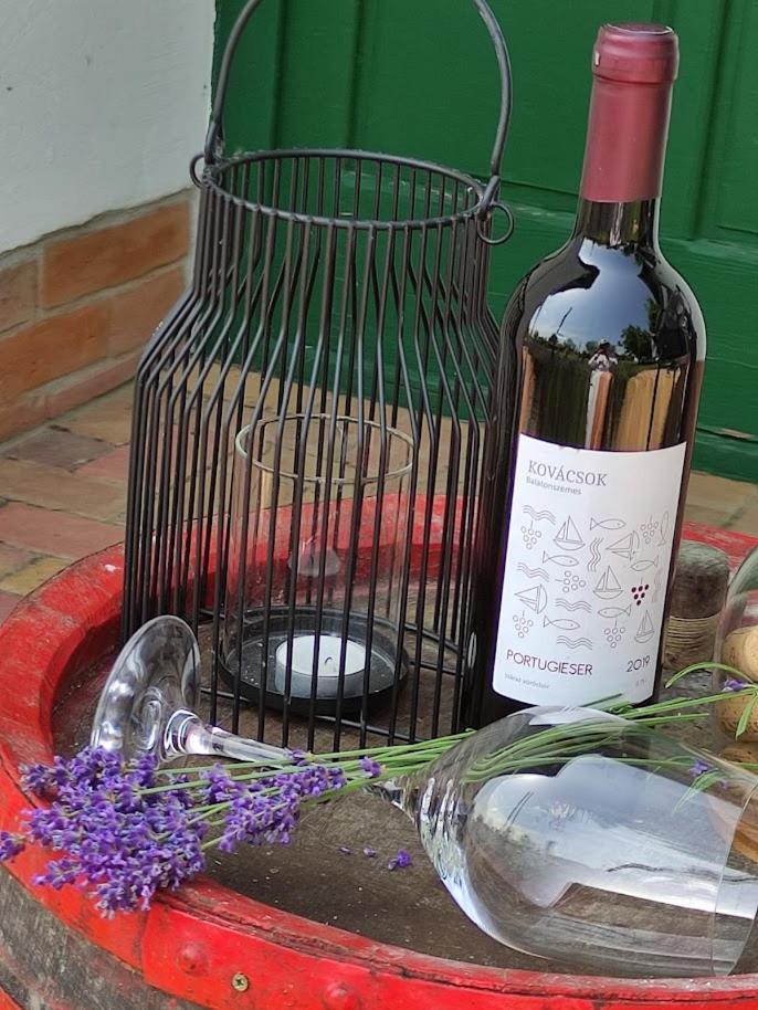 Szolohegyi Haziko - Cottage In The Vineyard Balatonszárszó المظهر الخارجي الصورة