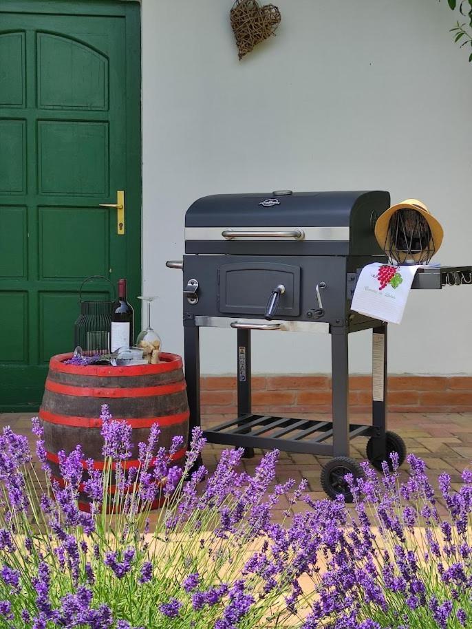 Szolohegyi Haziko - Cottage In The Vineyard Balatonszárszó المظهر الخارجي الصورة