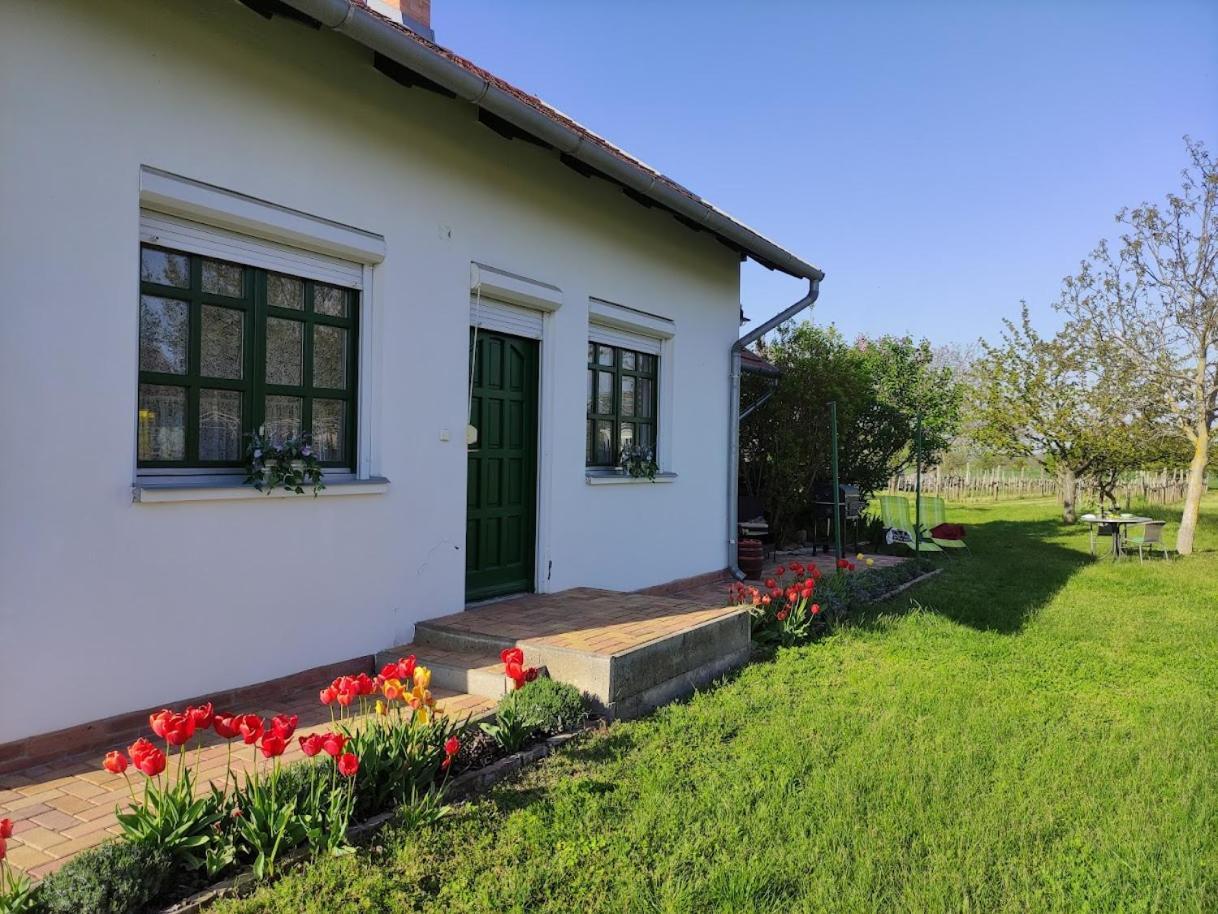 Szolohegyi Haziko - Cottage In The Vineyard Balatonszárszó المظهر الخارجي الصورة