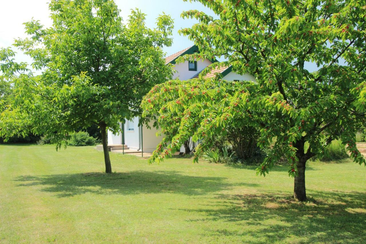 Szolohegyi Haziko - Cottage In The Vineyard Balatonszárszó المظهر الخارجي الصورة
