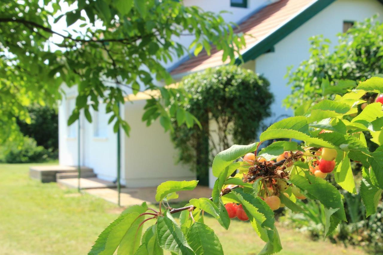 Szolohegyi Haziko - Cottage In The Vineyard Balatonszárszó المظهر الخارجي الصورة
