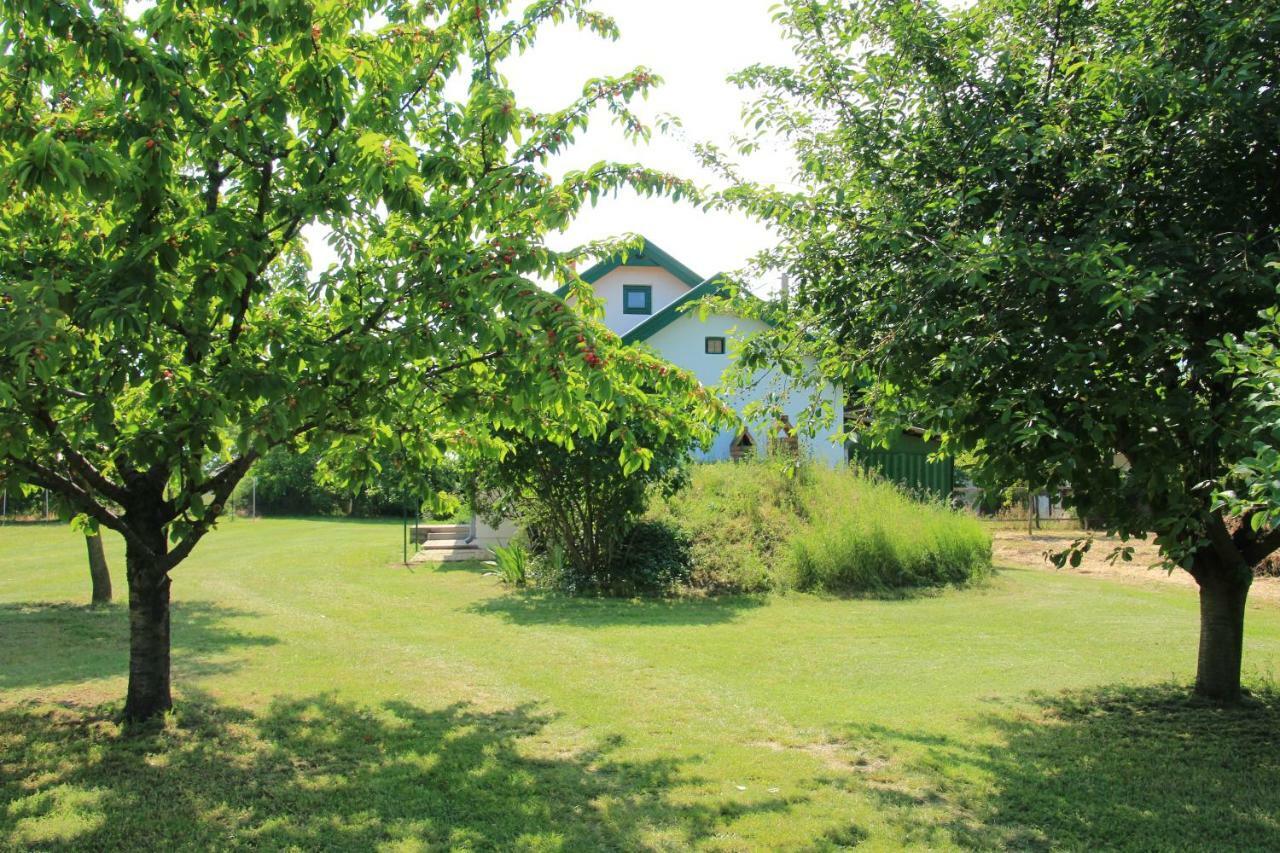 Szolohegyi Haziko - Cottage In The Vineyard Balatonszárszó المظهر الخارجي الصورة
